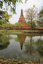 Flowering Blooming Golden Shower With Ancient Pagoda