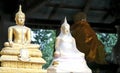 Buddhisim Royalty Free Stock Photo