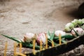 Buddhism use Buddha oblation Lotus flower,incense sticks and candle to worship Buddha statue. Royalty Free Stock Photo