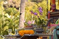 Buddhist altar with orchids