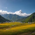 The Buddhist architecture, prayer flags and full of snow on a misty morning at T...