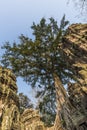 Angkor Wat Buddhist Temple