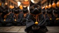 Buddhist cat, animal worship, funny illustration of a cat with folded paws in prayer. Black cat monk.