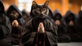 Buddhist cat, animal worship, funny illustration of a cat with folded paws in prayer. Black cat monk.