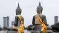 Buddhist figures and the skyline of Colombo Royalty Free Stock Photo