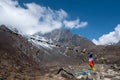 Buddhist flags over small lodge in Nepal
