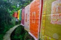 Buddhist flags in the park