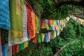 Buddhist flags in the park