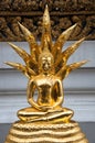 Buddhist Goddess