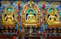 Buddhist idols in a buddhist monastery in South India