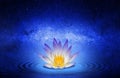 Buddhist lotus flower