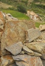 Buddhist mantra and statue carved on stones in Ladakh, INDIA Royalty Free Stock Photo