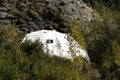 Buddhist meditation igloo