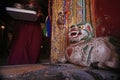 Buddhist Monk in the Ancient Hemis Monastery in Ladakh, India Royalty Free Stock Photo