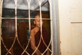 Buddhist monk behind window bars looking out and smiling