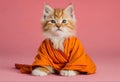 A Buddhist monk cat with typical Tibetan clothes in orange color