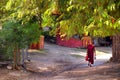 Buddhist monk dressed in red, walking on the streets of a local village in Mingun, Mandalay, surrounded by green