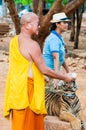 Buddhist monk feeding with milk a Bengal tiger in Thailand