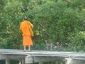 Buddhist monk and mangrove monkey Royalty Free Stock Photo