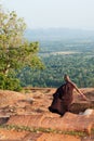 Buddhist monk at Sigiriya mountain the lion rock
