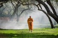 Buddhist monk walk receive food in the morning