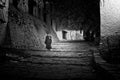 A Buddhist monk walking down the steps of Tashilompu Monastery S