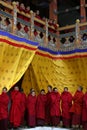 Buddhist Monkes and Novices