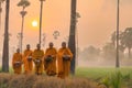 Buddhist monks going about to receive food from villager in morning in Thailand Royalty Free Stock Photo