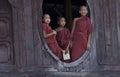 Buddhist Monks in Myanmar (Burma)