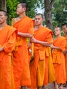 Buddhist monks in procession. Luang Phabang, Laos Royalty Free Stock Photo