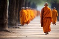 buddhist monks in orange robes walking in a row