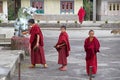 Buddhist monks at the Phodong Monastery, Gangtok, Sikkim, India