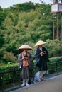 Buddhist monks practice takuhatsu chanting sutras and collecting donations in Kyoto street. Japan Royalty Free Stock Photo