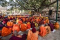 Buddhist Monks Sitting Under the Bodhi Tree, Bodhgaya, India Royalty Free Stock Photo