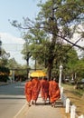 Buddhist monks walking under yellow umbrella