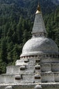 buddhist monument (chendebji chorten) - bhutan