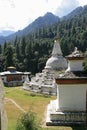 buddhist monument (chendebji chorten) - bhutan