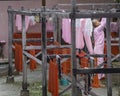 Buddhist nuns in Myanmar Royalty Free Stock Photo