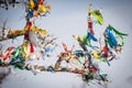 The Buddhist pray in trees Royalty Free Stock Photo