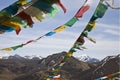 Buddhist prayer flags Royalty Free Stock Photo