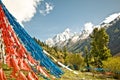 Buddhist prayer flags in front of snowy mountains in Higlands o China Royalty Free Stock Photo