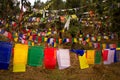 Buddhist prayer flags, Kora walk, McLeod Ganj, India Royalty Free Stock Photo