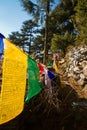 Buddhist prayer flags, Kora walk, McLeod Ganj, India Royalty Free Stock Photo