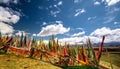 Buddhist prayer flags in the tibetan mountain landscape Royalty Free Stock Photo