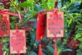 Buddhist Prayer request plaques Xiangshan temple Royalty Free Stock Photo