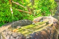 Buddhist purification fountain Royalty Free Stock Photo