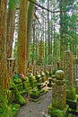 Ã Â¸ÂºBuddhist Statues insiade Okunoin Cemetary at Koyasan