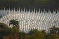 Buddhist stupas of Sanda Muni Pagoda seen from Mandalay Hill Royalty Free Stock Photo