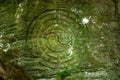 Buddhist symbol overgrown with moss carved in rock in India