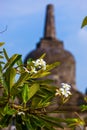 Buddhist temple of Banjar - island Bali Indonesia Royalty Free Stock Photo